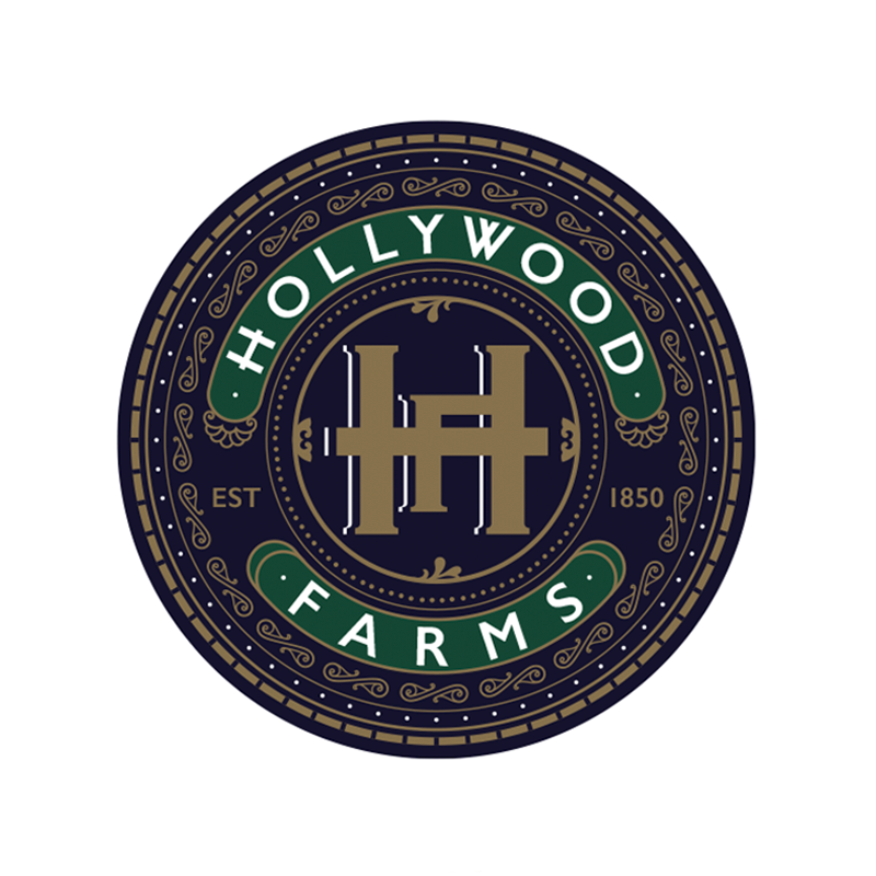 Hollywood logo and branding campaign