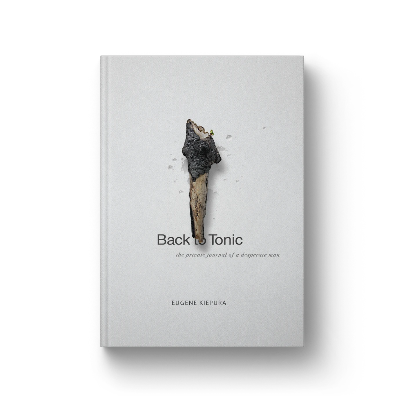 Gene Kiepura book cover design