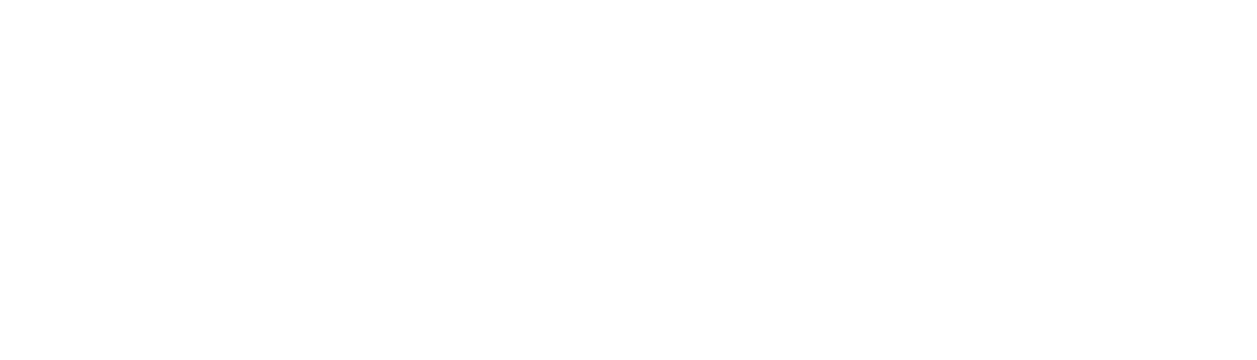 Elev8t logo in white