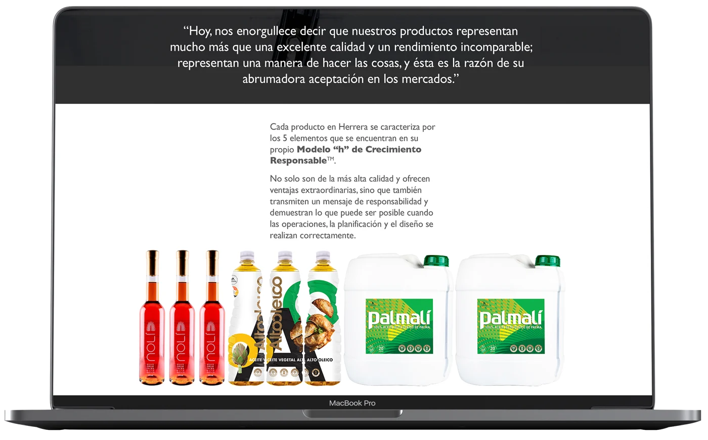 Herrera website product page design