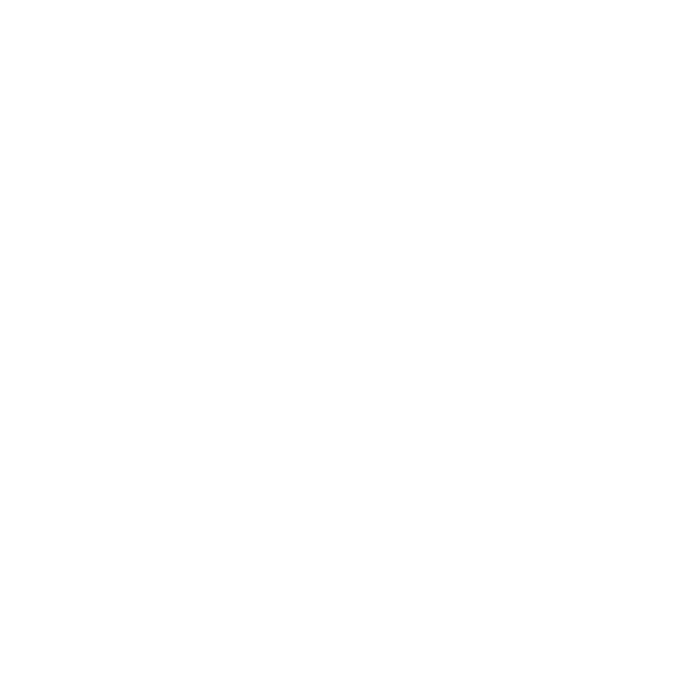 Lonch User Conference logo