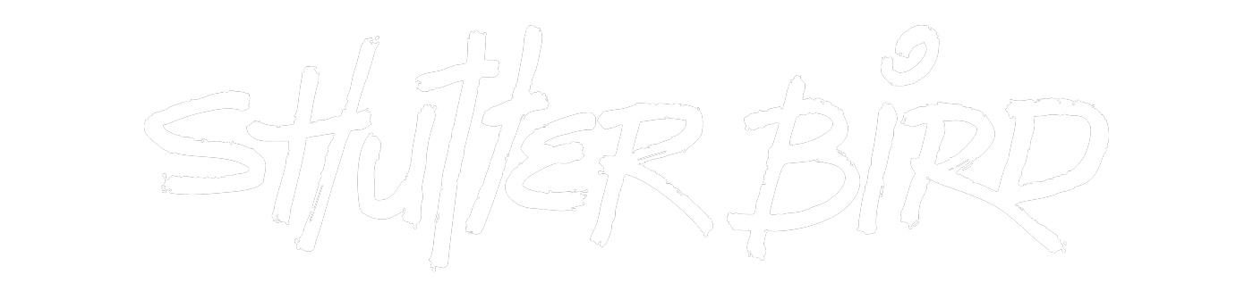 Shutter Bird movie title logo designed by Neon Alfred